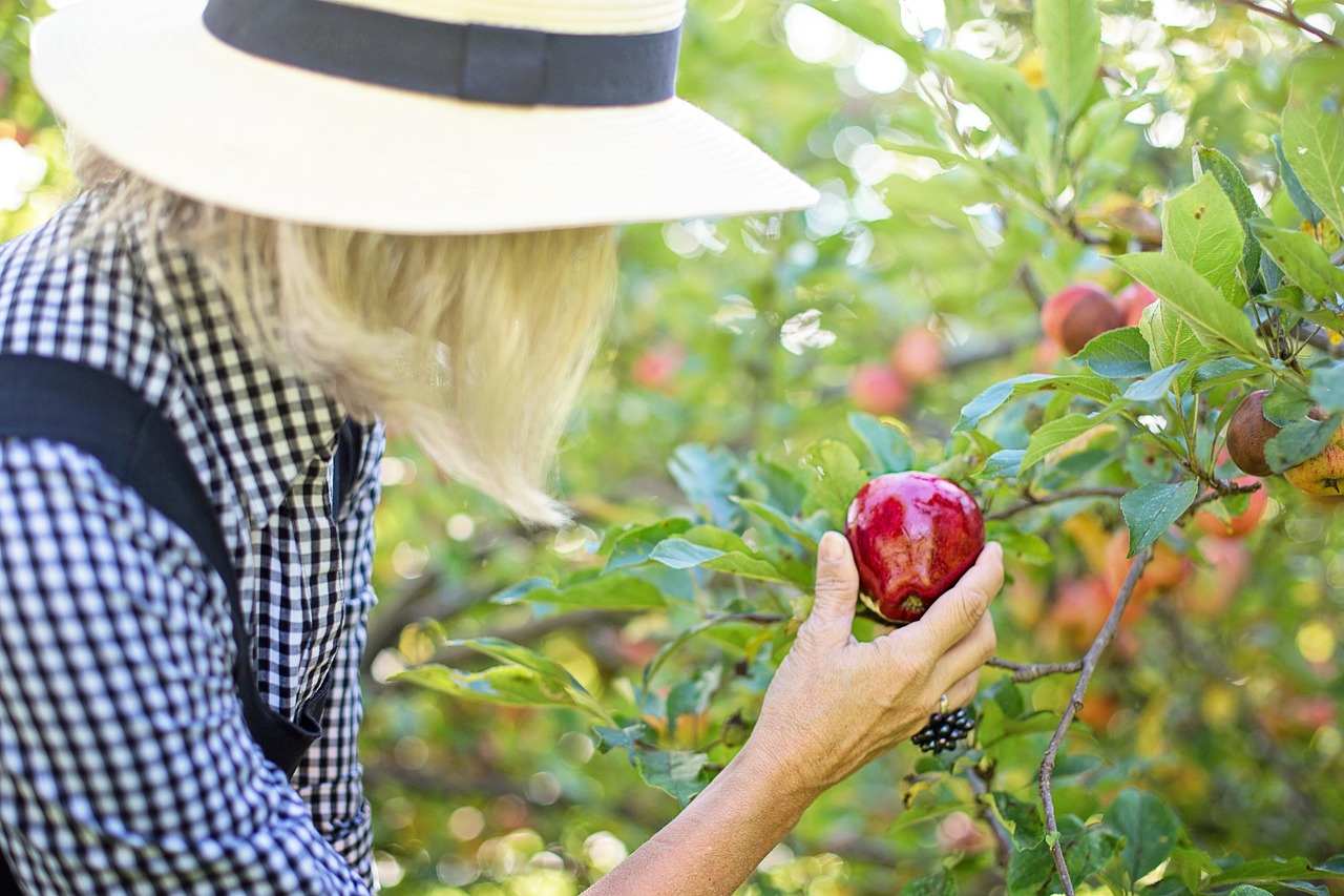 A woman picking an apple off a tree.